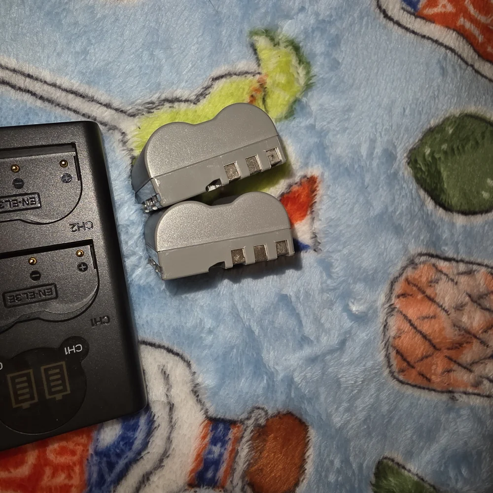 Nikon d70 bold